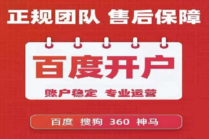 搜索引擎优化（SEO）与竞价广告（SEM）的对比案例
